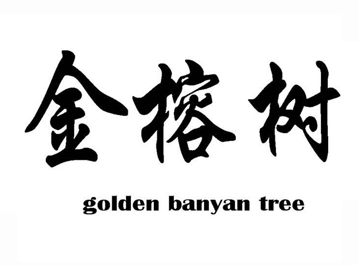 金榕树 GOLDEN BANYAN TREE